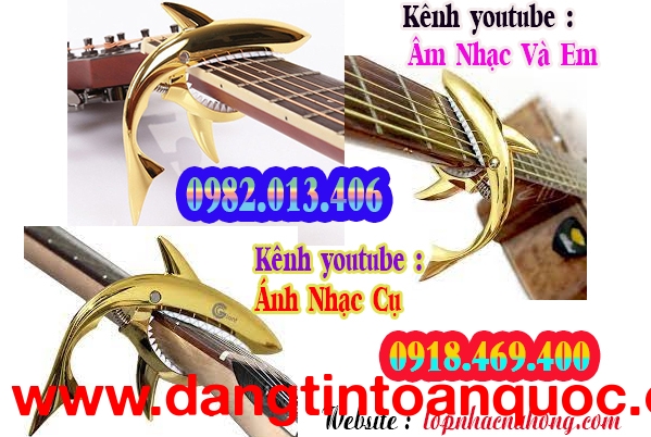 Chỗ bán capo guitar hình con cá mập tại Sài Gòn, Gò Vấp, Tphcm 