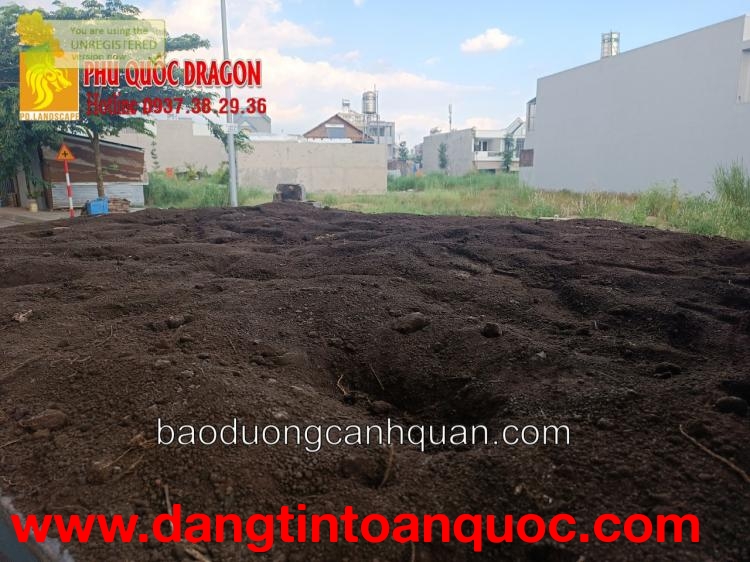 Đất màu trồng cây giá tốt ở Đồng Nai, HCM, Long An