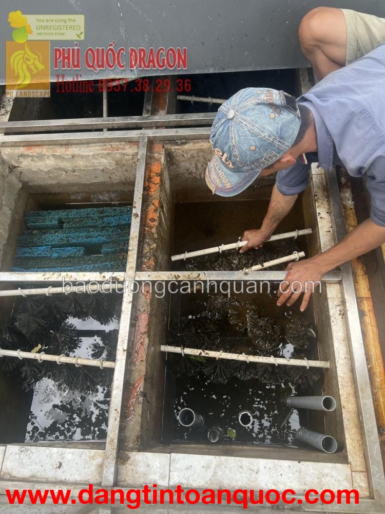 Dịch vụ vệ sinh hồ Koi chuyên nghiệp giá rẻ ở Đồng Nai, HCM