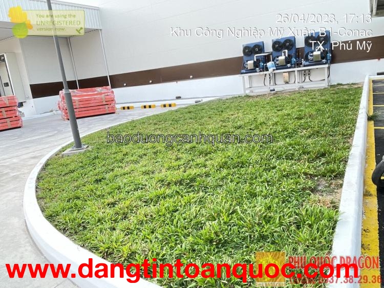 Dịch vụ trồng c.ỏ thảm sân vườn ở HCM, Đồng Nai, Bình Dương