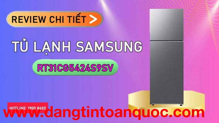 Review chi tiết Tủ Lạnh Samsung RT31CG5424S9SV