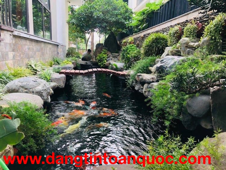 Thi công sân vườn kiểu Nhật và hồ cá Koi ở Đồng Nai, HCM
