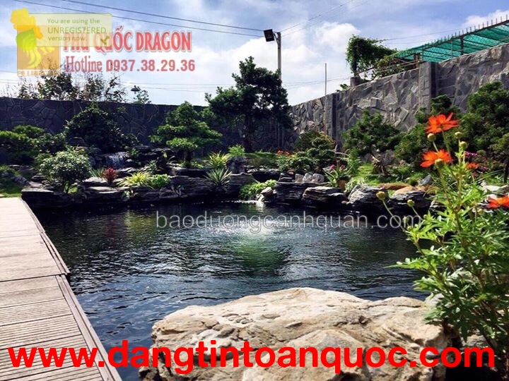Thiết kế sân vườn đẹp, hồ cá Koi ở Đồng Nai, HCM, BRVT