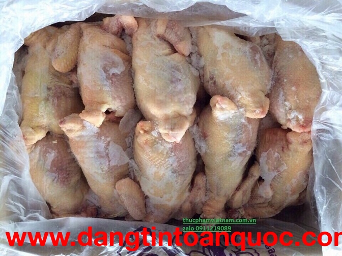 Địa chỉ bán gà nguyên con giá rẻ, uy tín tại Hà Nội