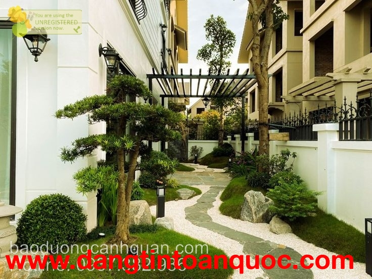 Công ty cây xanh, cảnh quan sân vườn đẹp ở Đồng Nai, HCM