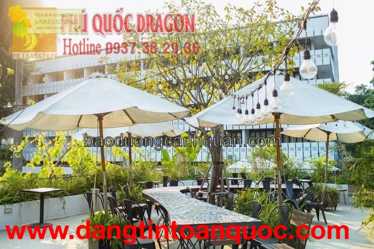 Thiết kế cảnh quan quán café sân vườn đẹp HCM Đồng Nai
