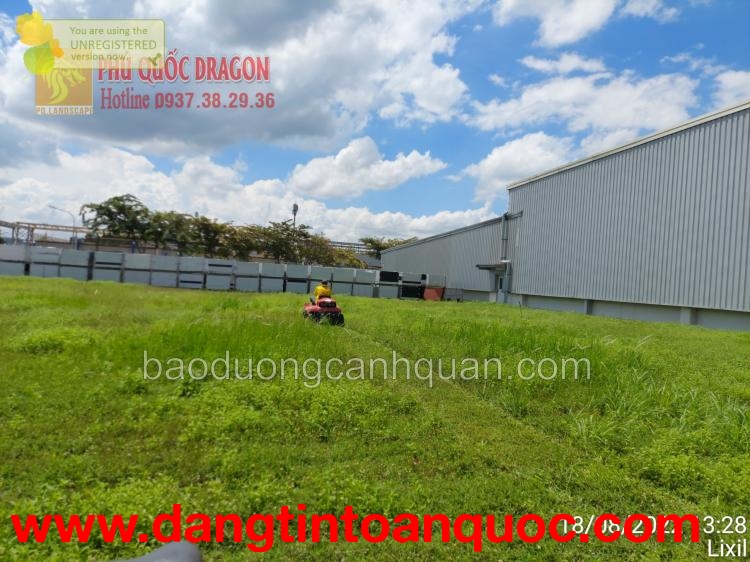 Dịch vụ cắt cỏ, dịch vụ phát hoang chuyên nghiệp, giá rẻ ở HCM, Đồng Nai 