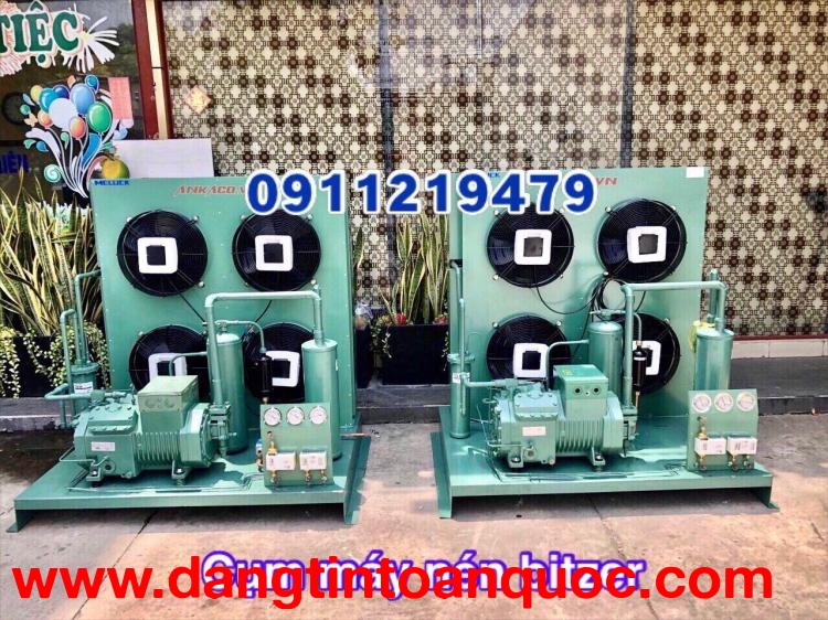 Kiểm tra, sửa chữa cụm máy nén kho lạnh Bitzer 15hp  4PES-15Y tại Phú Yên