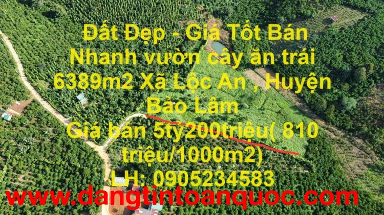 Đất Đẹp - Giá Tốt Bán Nhanh vườn cây ăn trái 6389m2 Xã Lộc An , Huyện Bảo Lâm